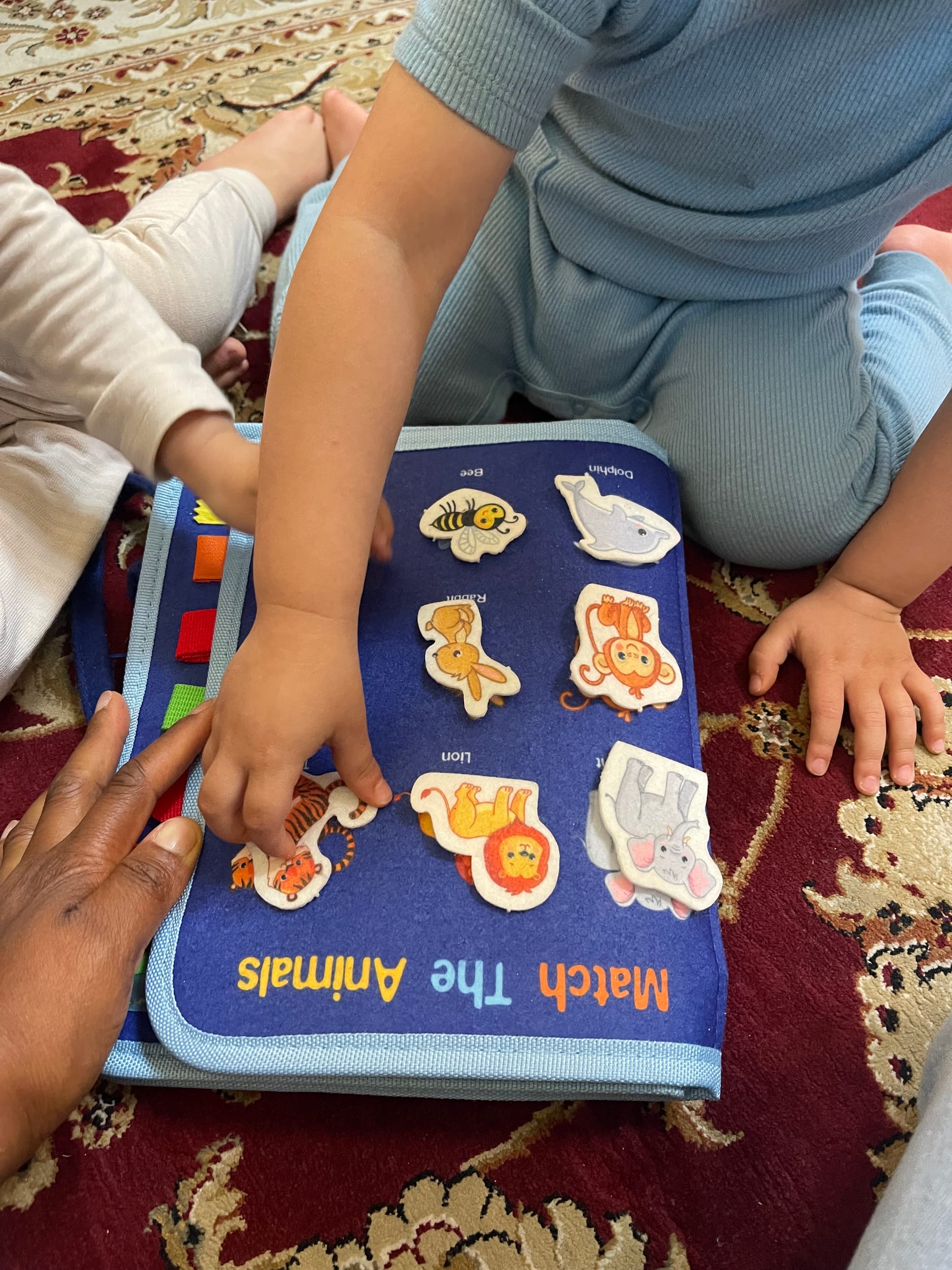 What a 50-Year-Old Psychology Experiment Taught Me About Being a Developmental Therapist